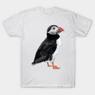 Puffin colored pencil drawing T-Shirt